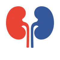 Các Bệnh Về Thận